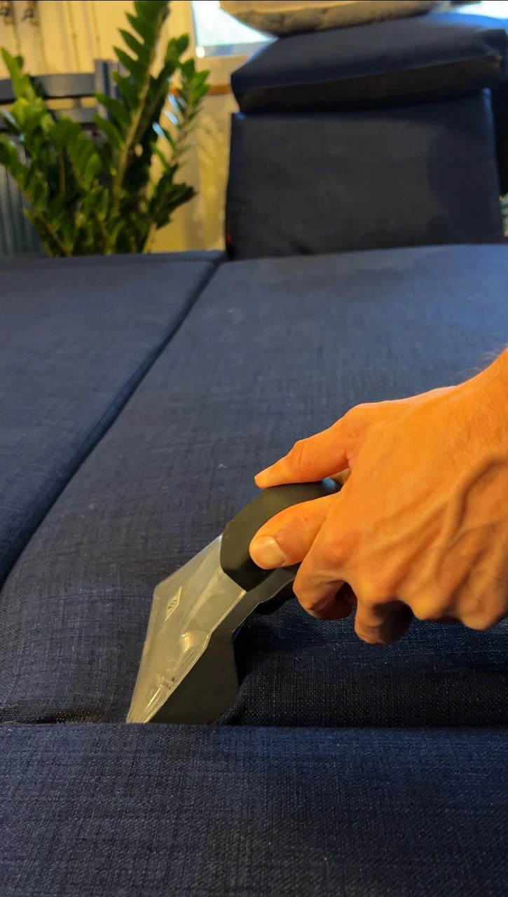 Canapea curățată profesional